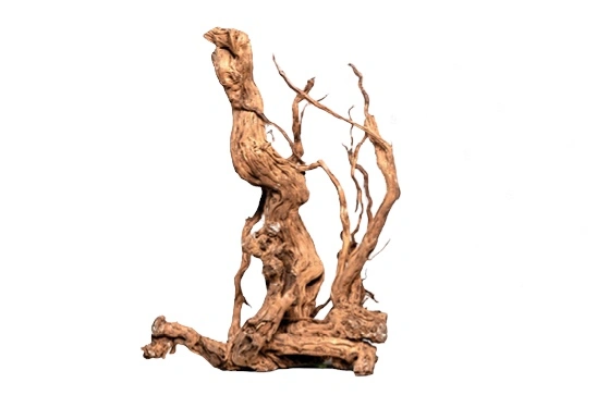 Curl Wood Krøllet træ Medium